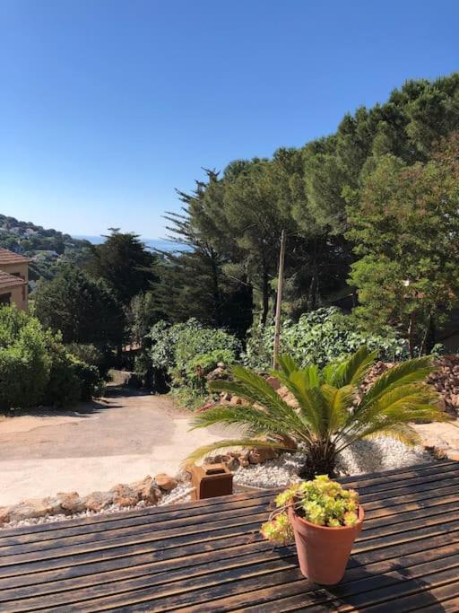Maison St Clair vue mer Sète Extérieur photo
